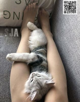 暴食的狂战士