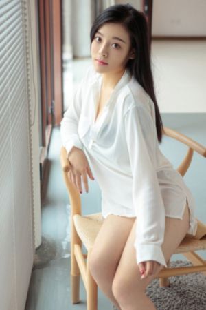 侠探高飞