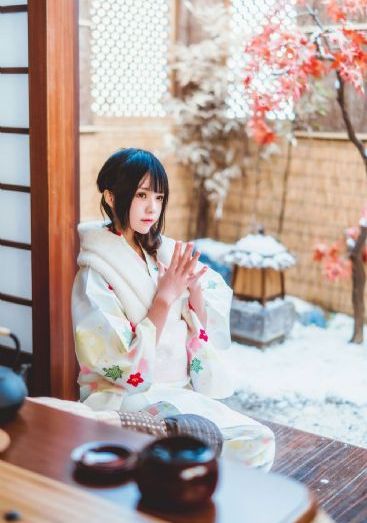 戴安娜小公主动画片全集